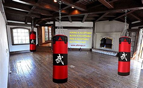 pro boxing ceiling kit